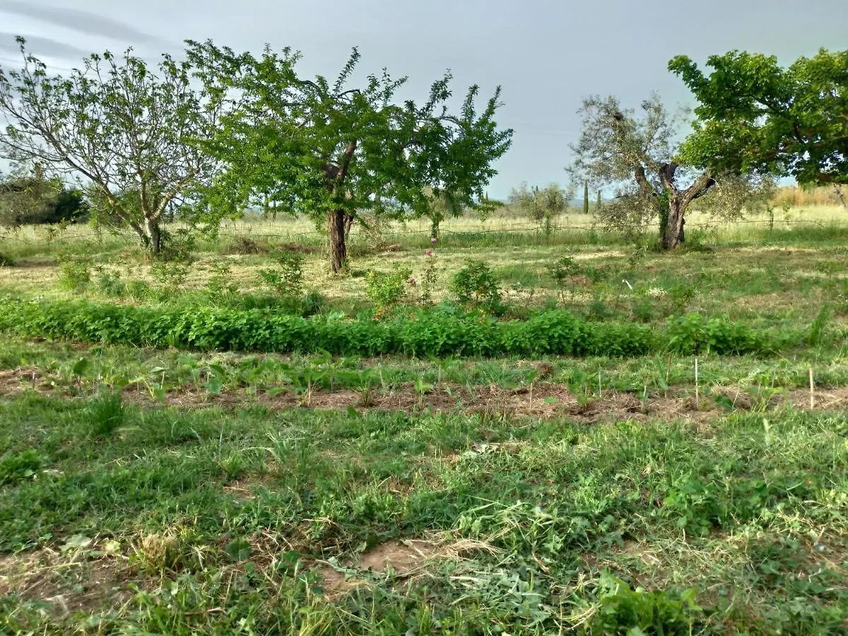 Casa Evelina, Armonia Del Passato Nel Rispetto Della Natura Donoratico