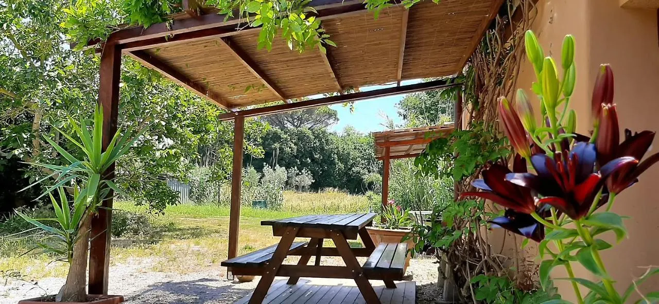 Casa Evelina, Armonia Del Passato Nel Rispetto Della Natura Donoratico Italy