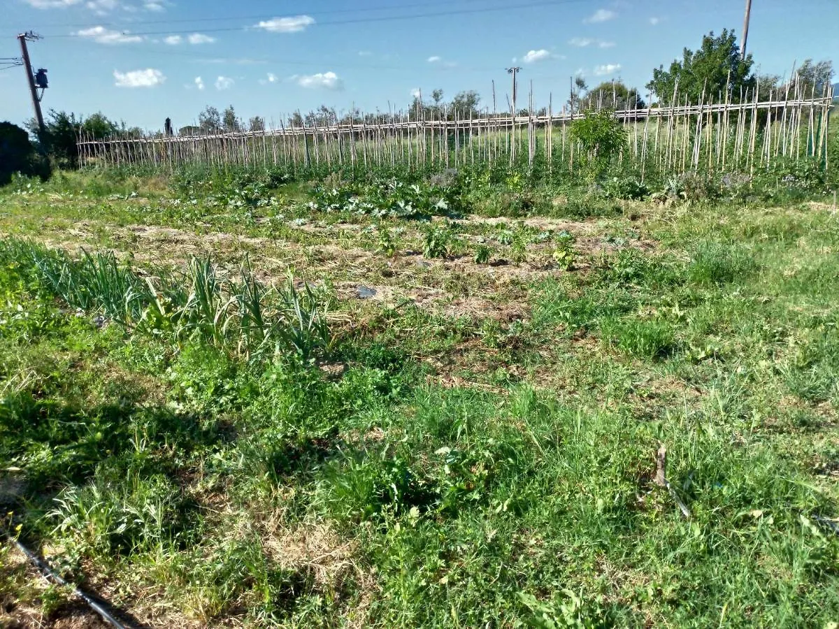 Casa Evelina, Armonia Del Passato Nel Rispetto Della Natura Donoratico