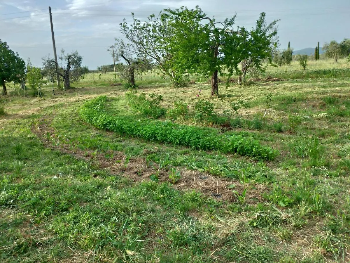 Casa Evelina, Armonia Del Passato Nel Rispetto Della Natura Donoratico Olaszország