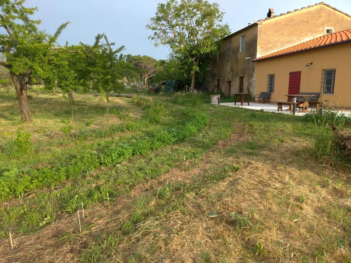 Apartment Casa Evelina, Armonia Del Passato Nel Rispetto Della Natura Donoratico