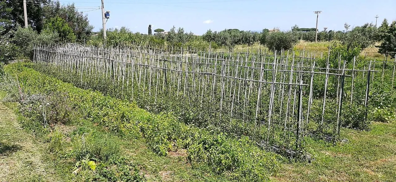 Casa Evelina, Armonia Del Passato Nel Rispetto Della Natura Donoratico 0*,  Italy